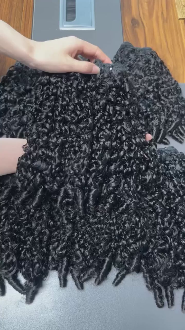 Caribbean Burmese Curly