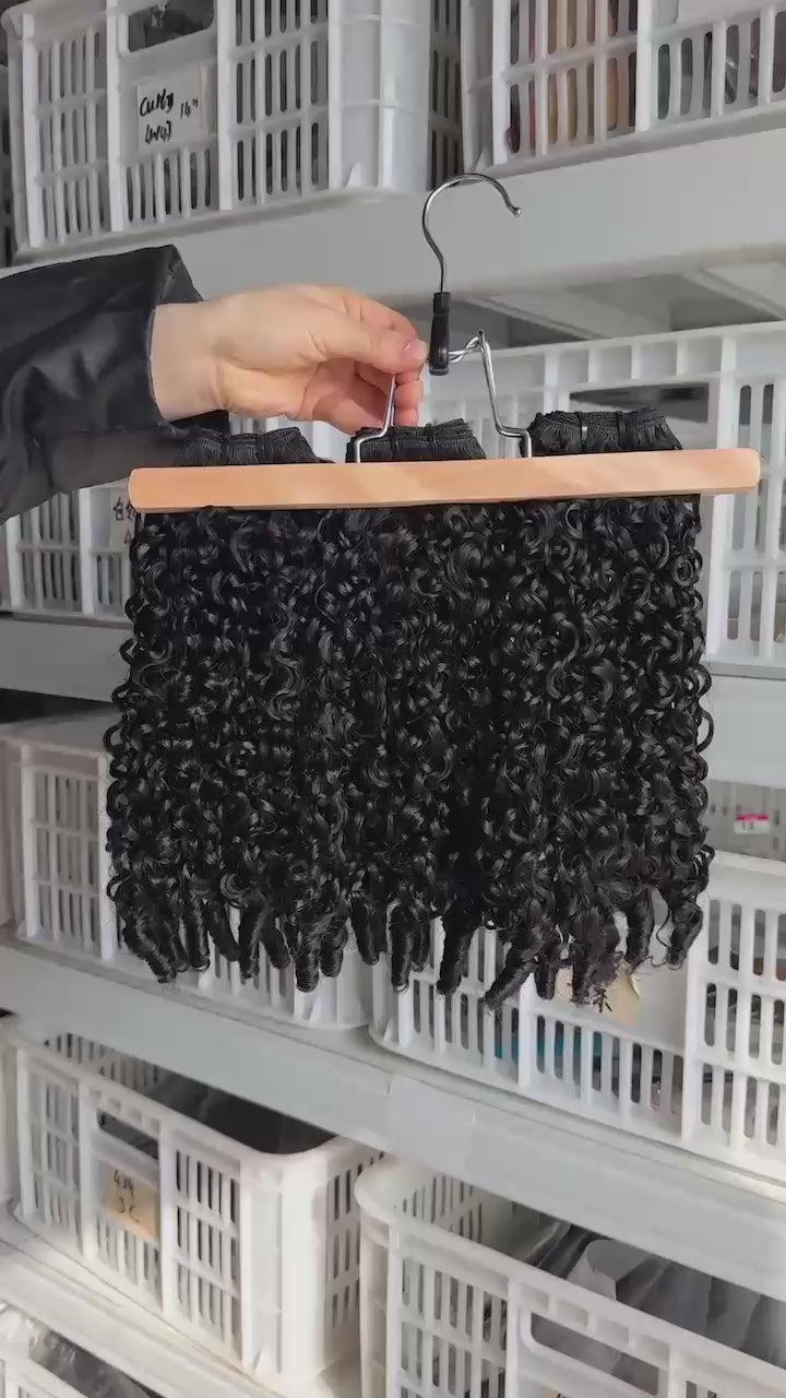 Caribbean Burmese Curly